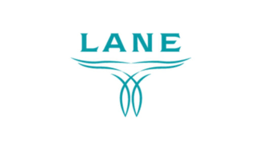 LANE Boots