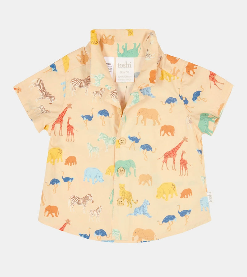 Load image into Gallery viewer, Toshi Shirt Banjo
